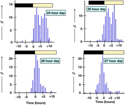 Discontinuities in understanding follicular development, the ovulatory cycle and the oviposition cycles in the hen: Advances, opportunities, slow downs and complete stops